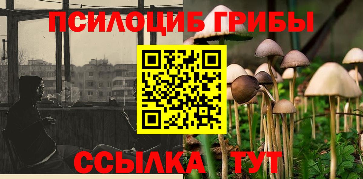 Псилоцибиновые грибы GOLDEN TEACHER Елец