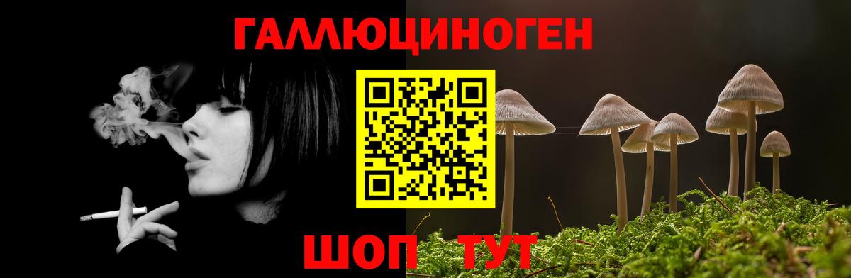 Галлюциногенные грибы MAGIC MUSHROOMS  Елец 