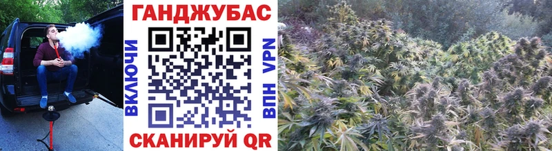 Марихуана SATIVA & INDICA  наркошоп  Елец 